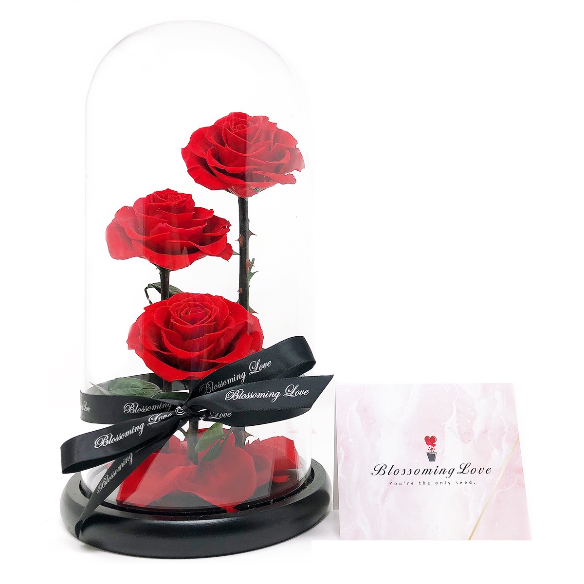 Blossoming Love Beauty and Beast Three Preserved Rose - Red
